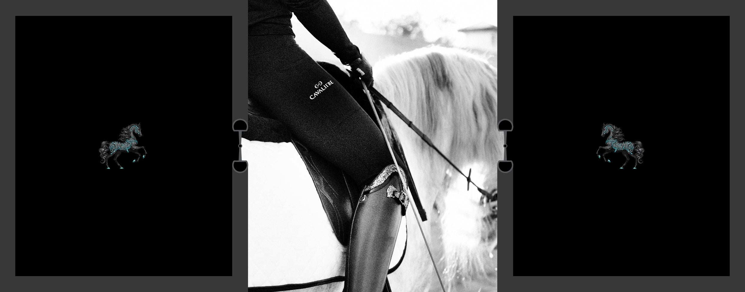 Cavaliere Couture Legwear