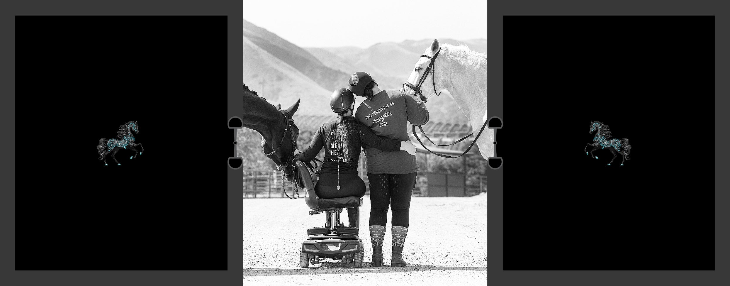 Mental Health Collection