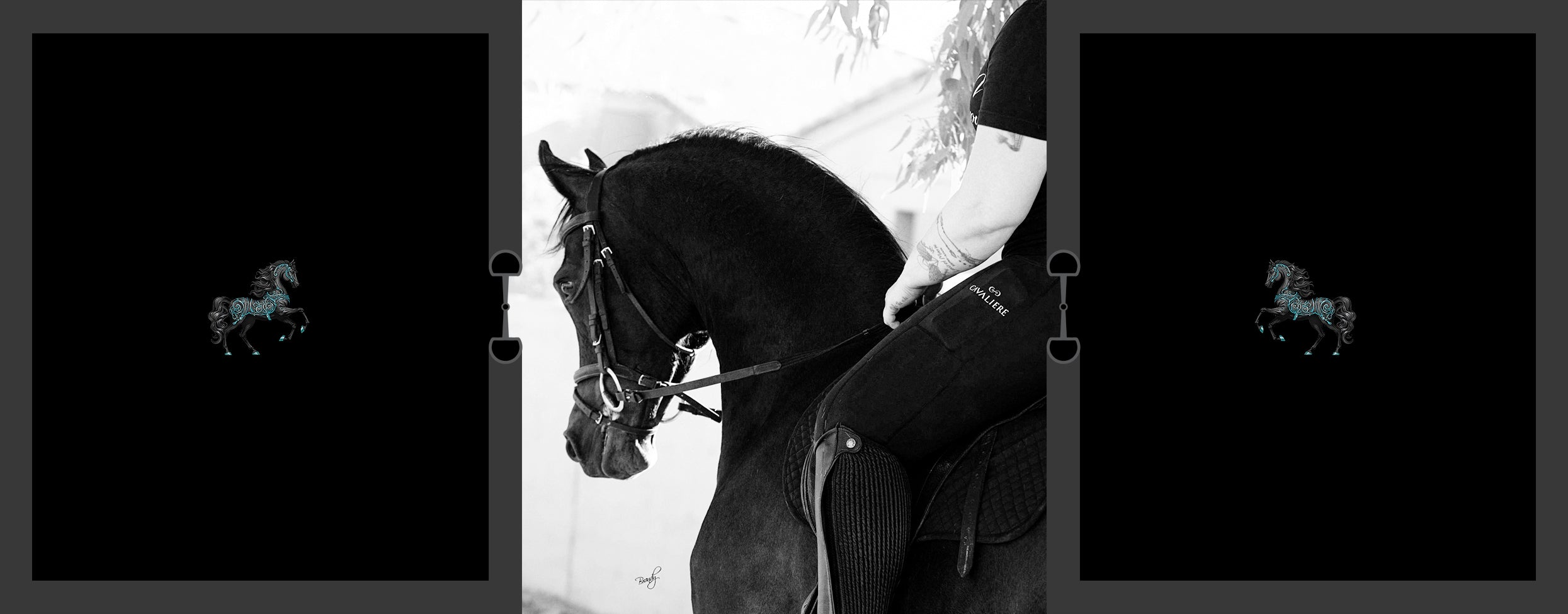 Cavaliere Couture Collection