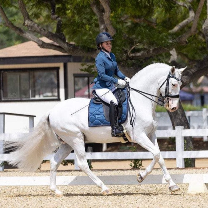 show breeches white