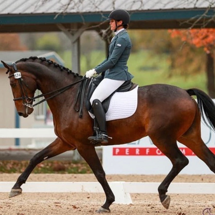 comfortable show breeches