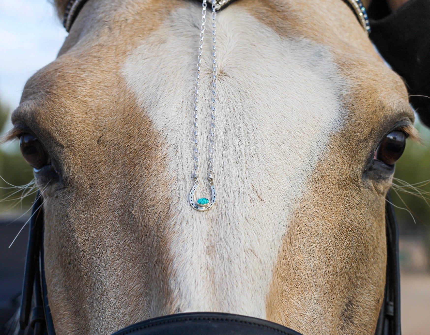 Horse Shoe Stone Necklace
